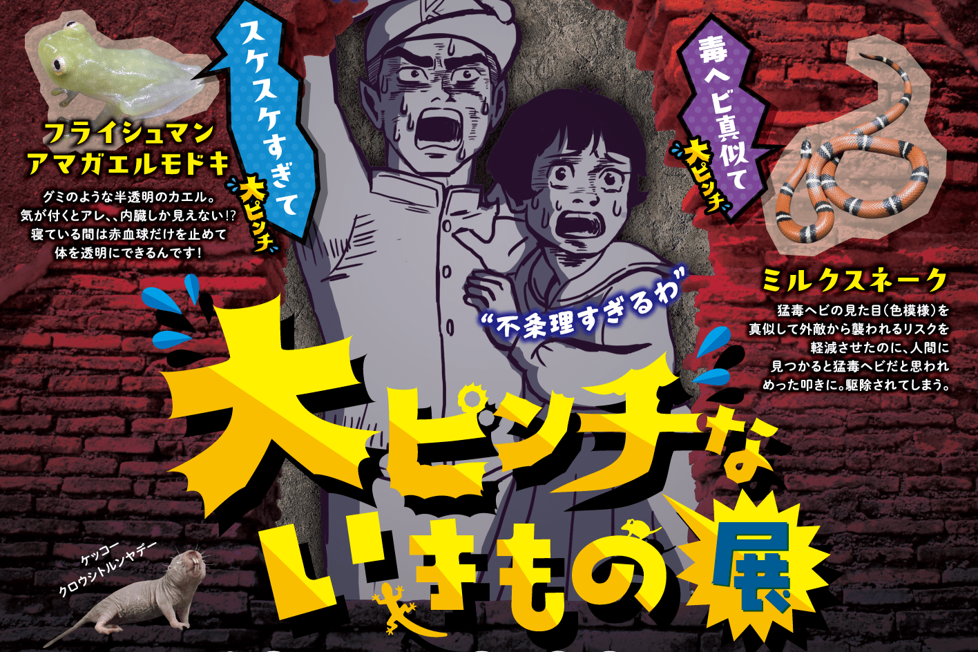 大ピンチないきもの展(7/18-8/30) - 秋田の観光・体験・お土産｜秋田